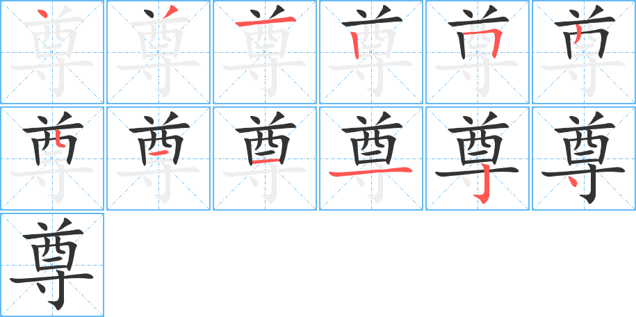 尊字完整笔顺步骤图
