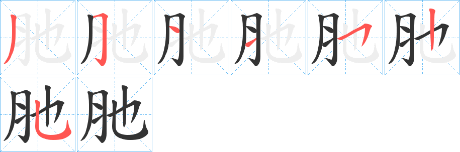 肔字笔顺步骤