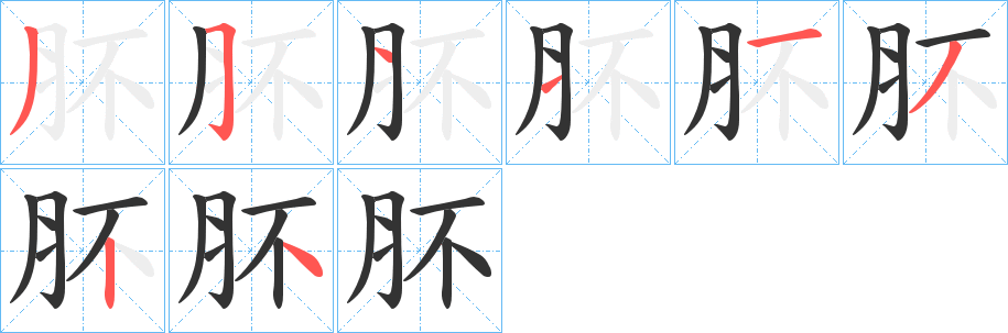 肧字笔顺步骤