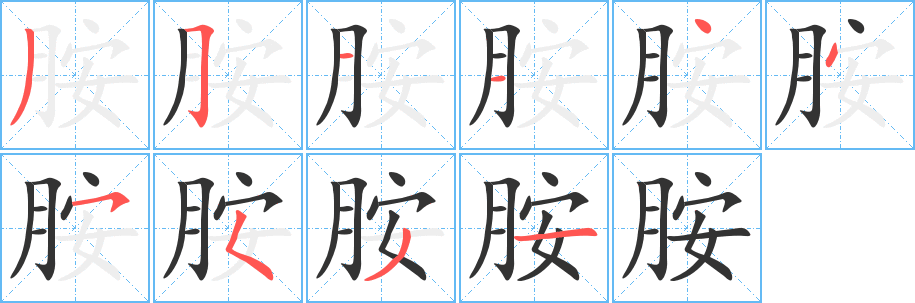 胺字完整笔顺步骤图
