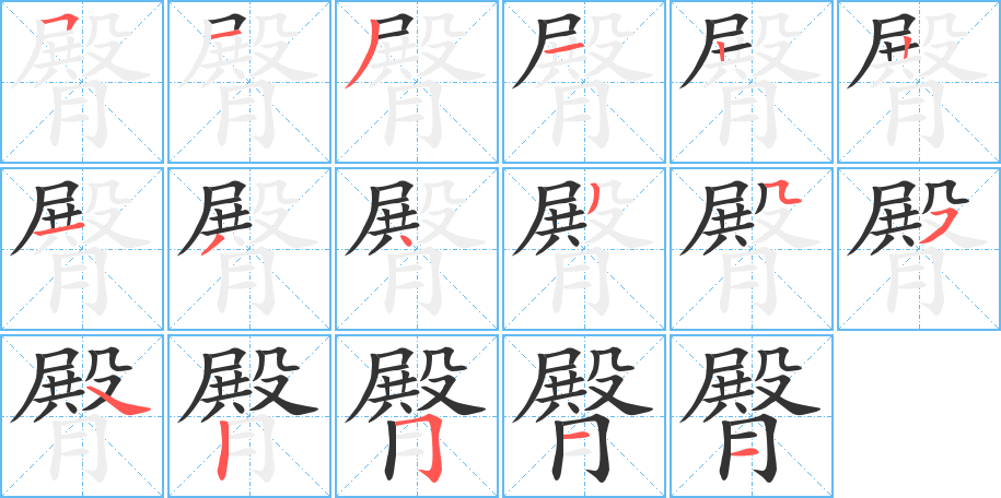臀字完整笔顺步骤图