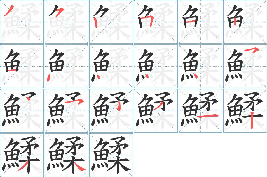 鰇字完整笔顺步骤图