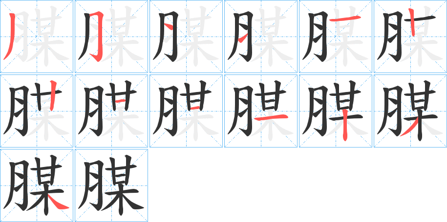腜字笔顺步骤