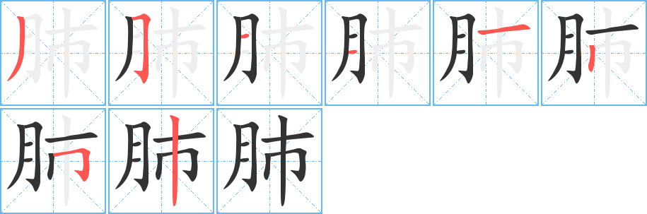 肺字完整笔顺步骤图