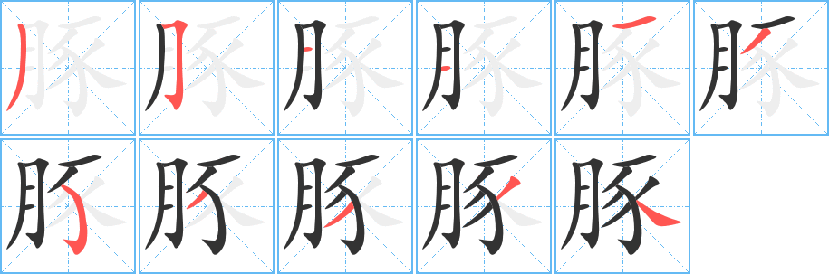 豚字完整笔顺步骤图