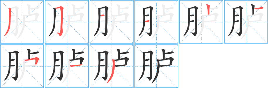 胪字完整笔顺步骤图