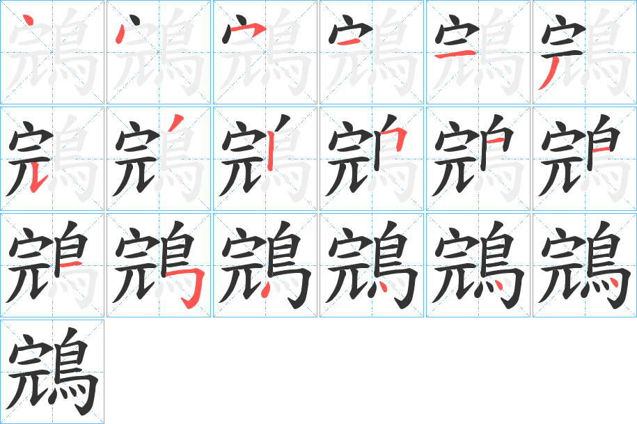 鵍字完整笔顺步骤图