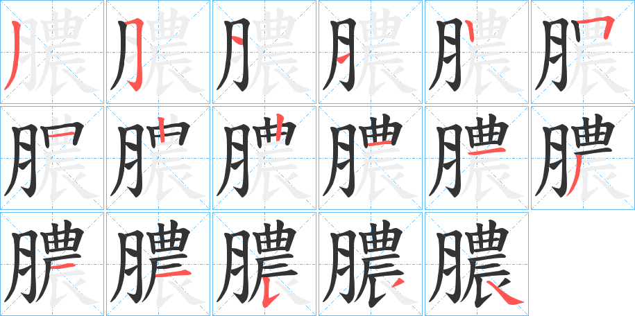 膿字完整笔顺步骤图