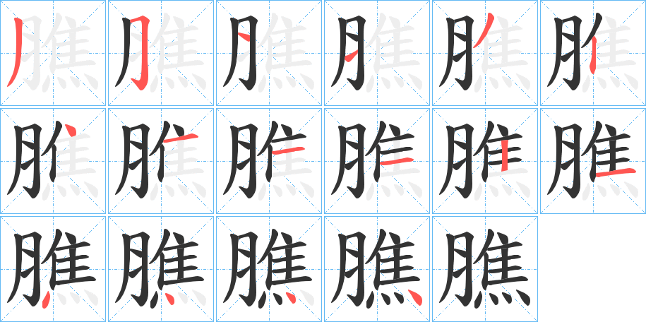 膲字完整笔顺步骤图
