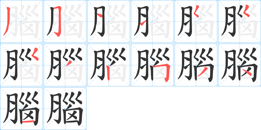 腦字完整笔顺步骤图