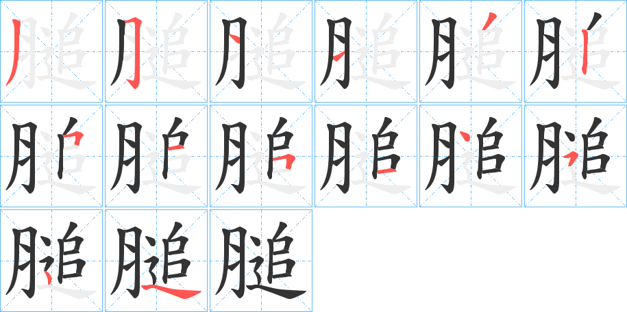 膇字笔顺步骤