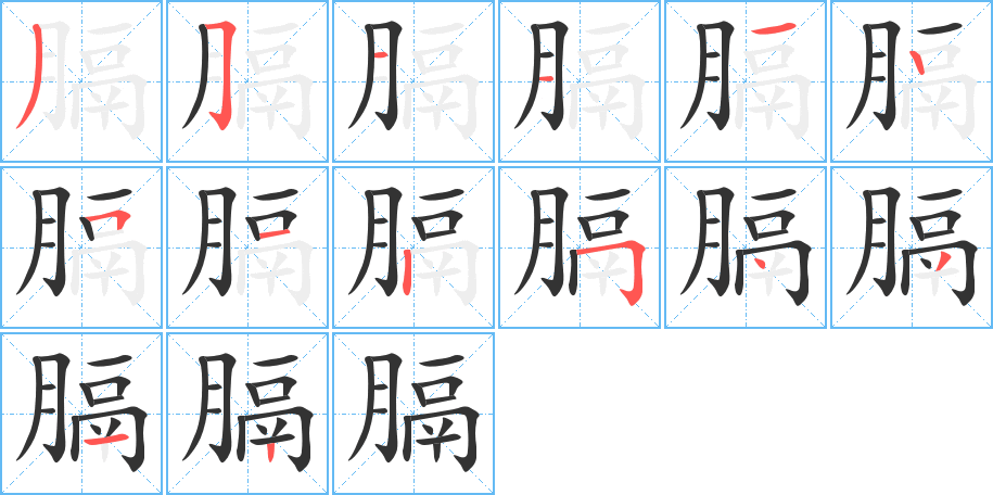 膈字完整笔顺步骤图