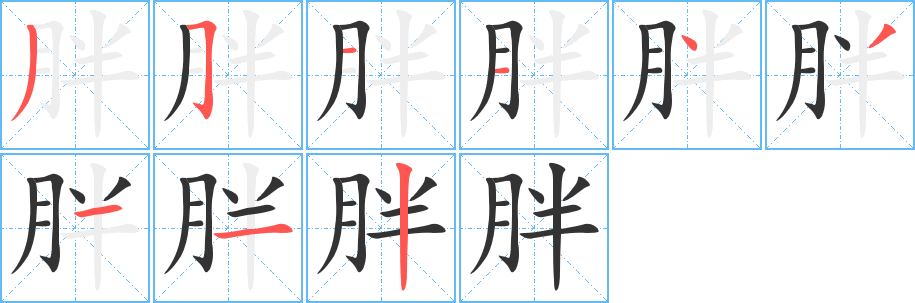 胖字完整笔顺步骤图