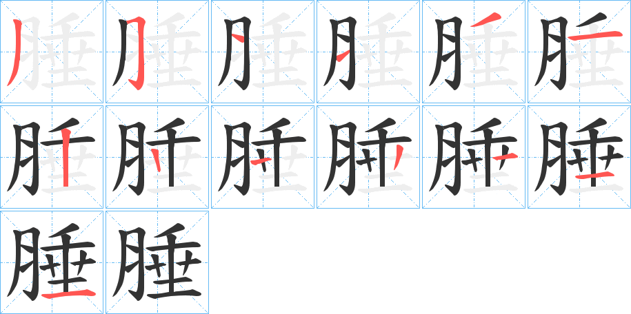 腄字笔顺步骤
